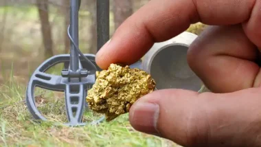 Metal Detecting for Gold